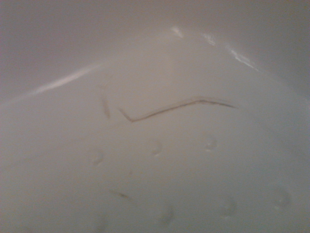 Трещины в ванной